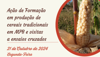  CERTRA promove Ação de Formação em produção de cereais tradicionais em MPB e visitas a ensaios cruzados em Coimbra 