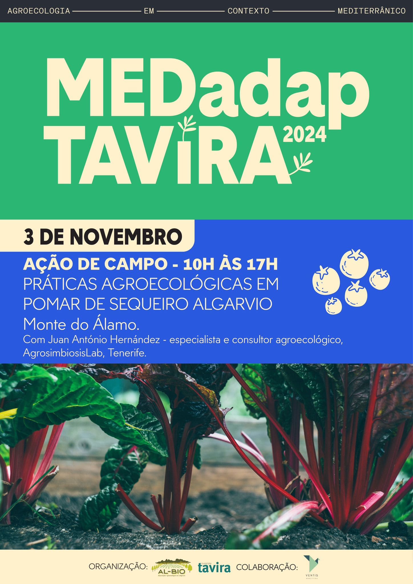 3NOV MEDadapTAVIRA 1