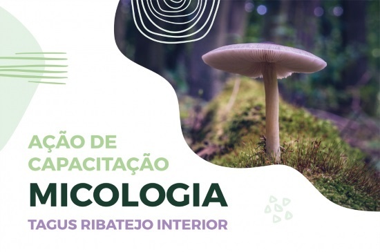 Acao Micologia